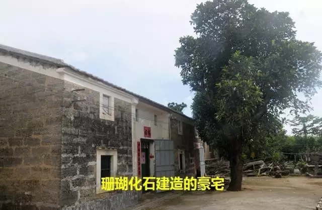 ���ލu��ɺ��ʯ���V������������