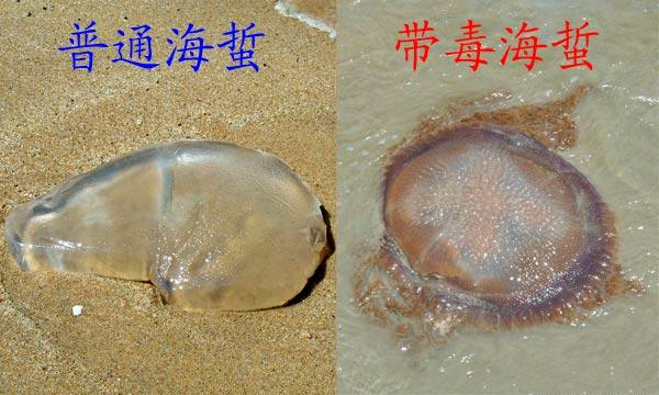 �����������V������������