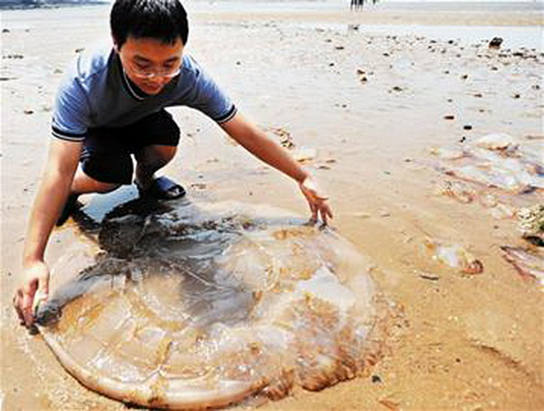 �����������V������������