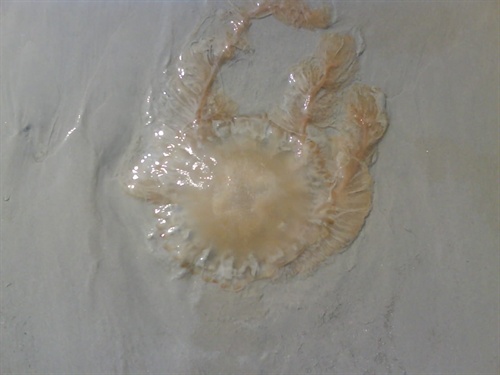 �����������V������������