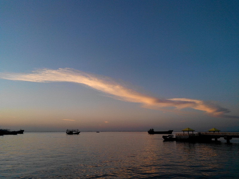 �������V������������