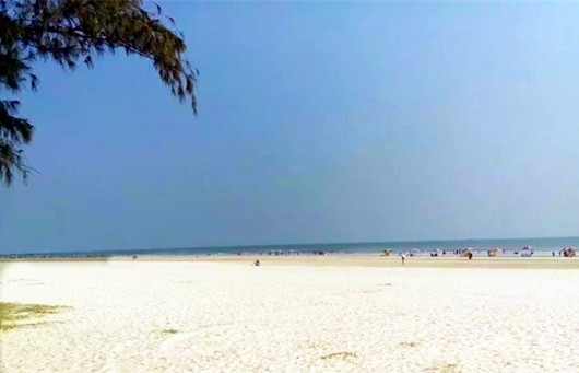 ���������������y�����V������������