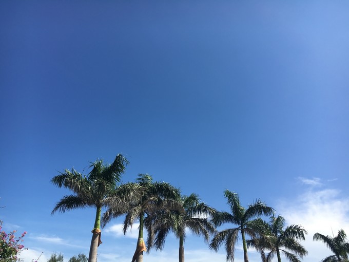 �����������y�����V������������