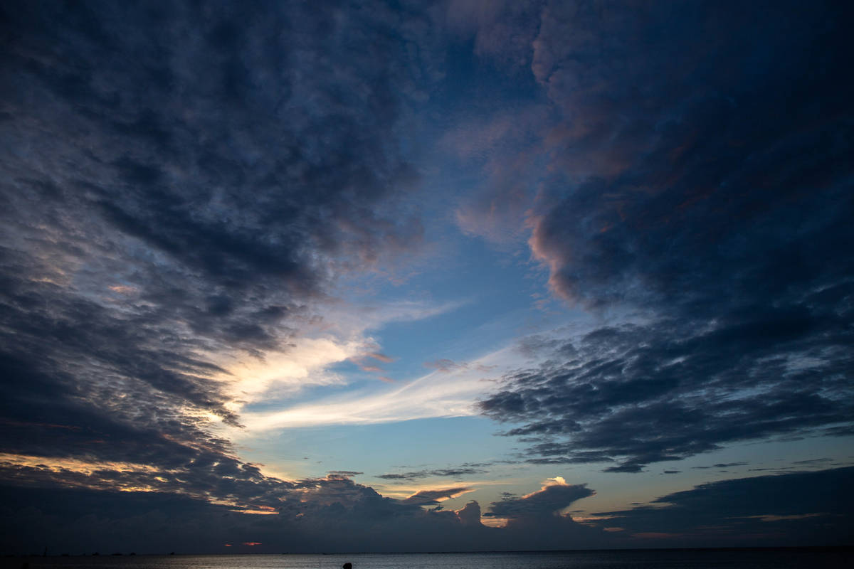 �����������V������������