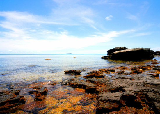 ���ލu�������V������������