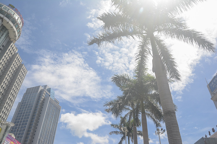 �������V������������