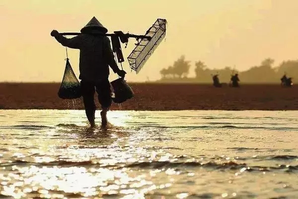 �������s�����V������������