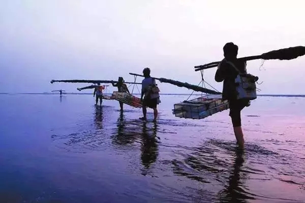 �������s�����V������������