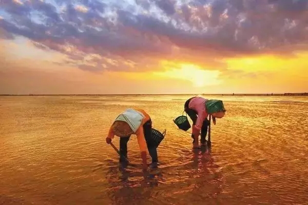 �������s�����V������������