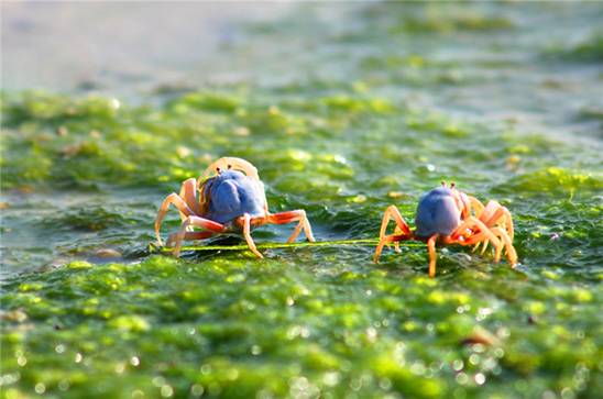 �������s�����V������������