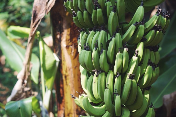 �������������ލu�������V������������