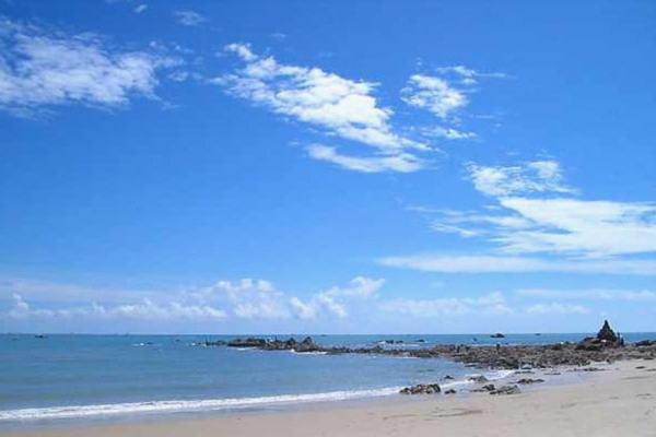 �����D�����V������������