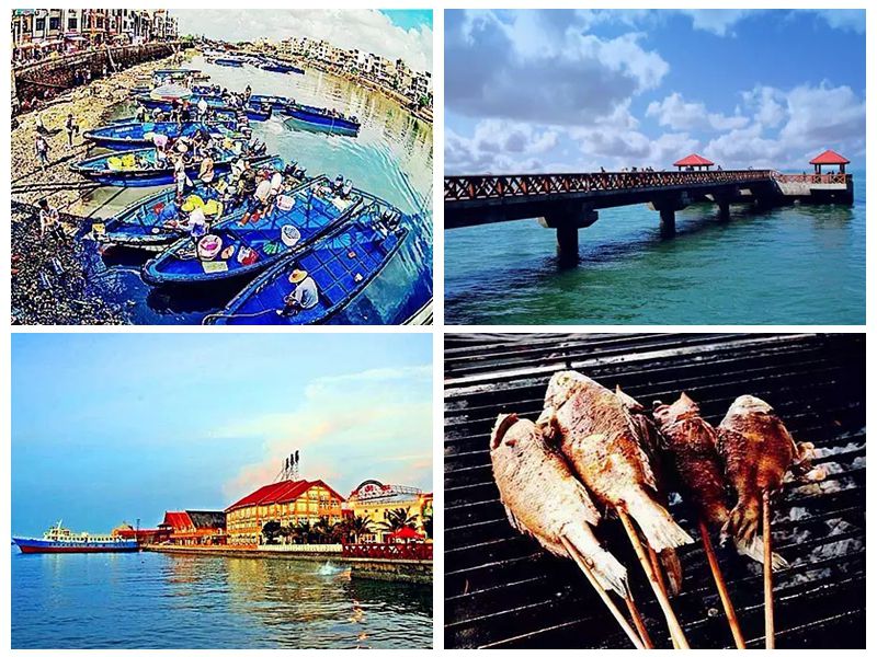 �����D�����V������������