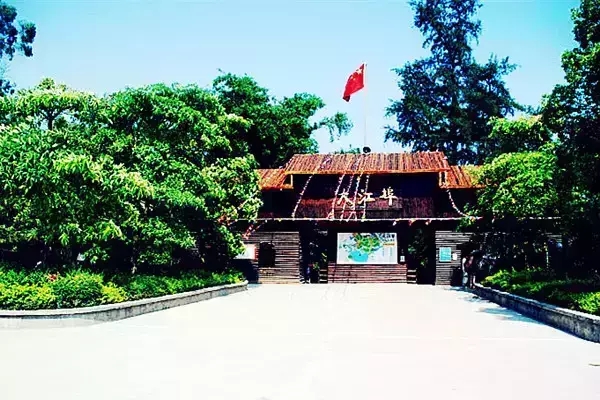 �����D�����V������������