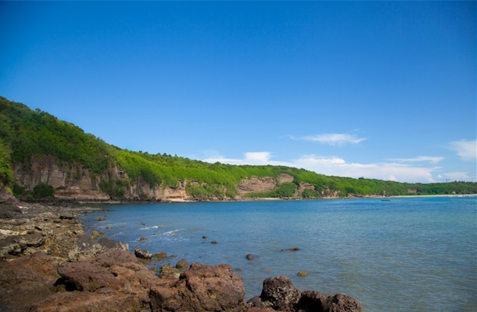 ���ލu�������V������������