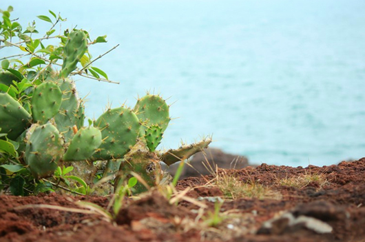 ���ލu�������V������������