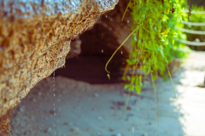 ���ލu�������V������������