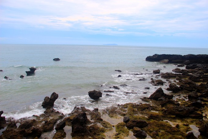 ���ލu�������V������������