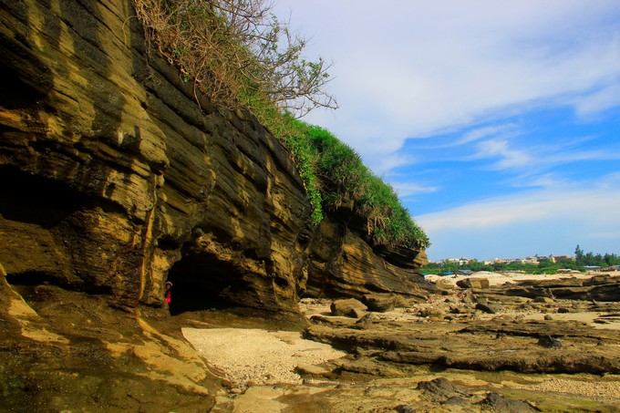 ���ލu�������V������������