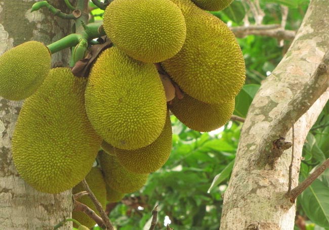 ���ލu�����}�ۣ��V������������