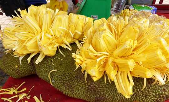 ���ލu�����}�����V������������