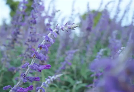 �������h(hu��n)�����V������������