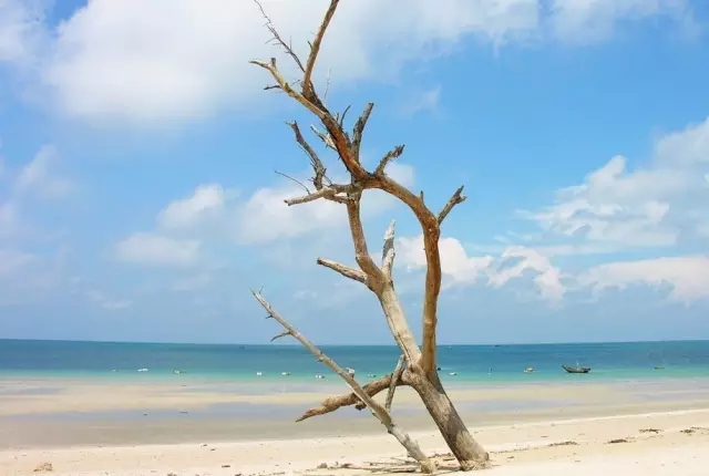 ���������ލu���V������������