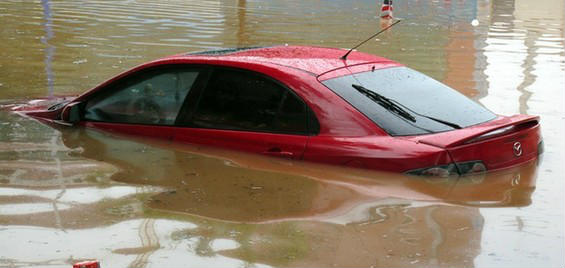 �������_(t��i)�L(f��ng)���V������������