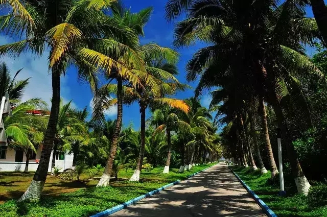 �u�Z�����ލu���V������������