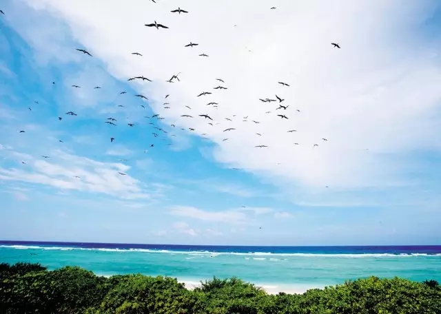 �u�Z�����ލu���V������������