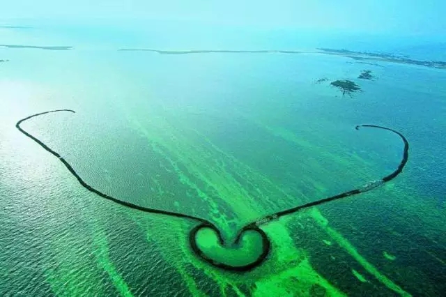 �u�Z�����ލu���V������������