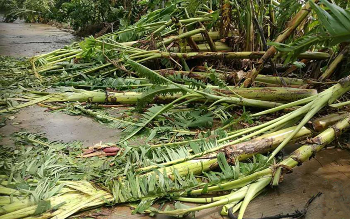 �������ލu���V������������