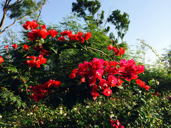 ���ލu���V������������