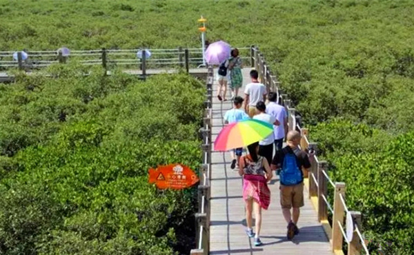 ������������V������������