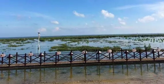 ������������V������������