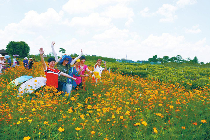 �����������������V������������