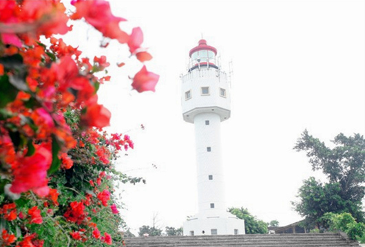 ���ލu�������V������������