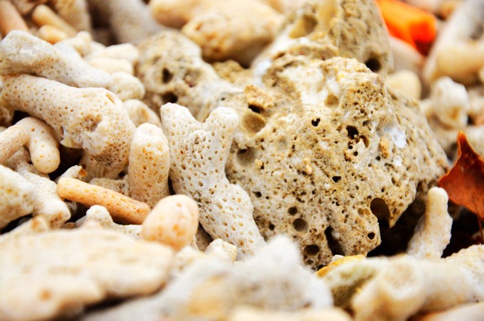 ���ލu�������V������������