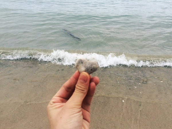 ���ލu���ι������V������������