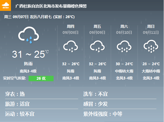 �V���������������������