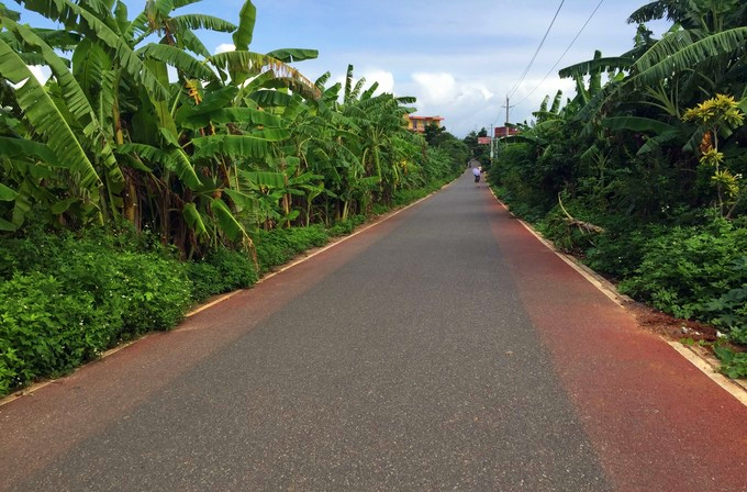 ���ލu�������V������������