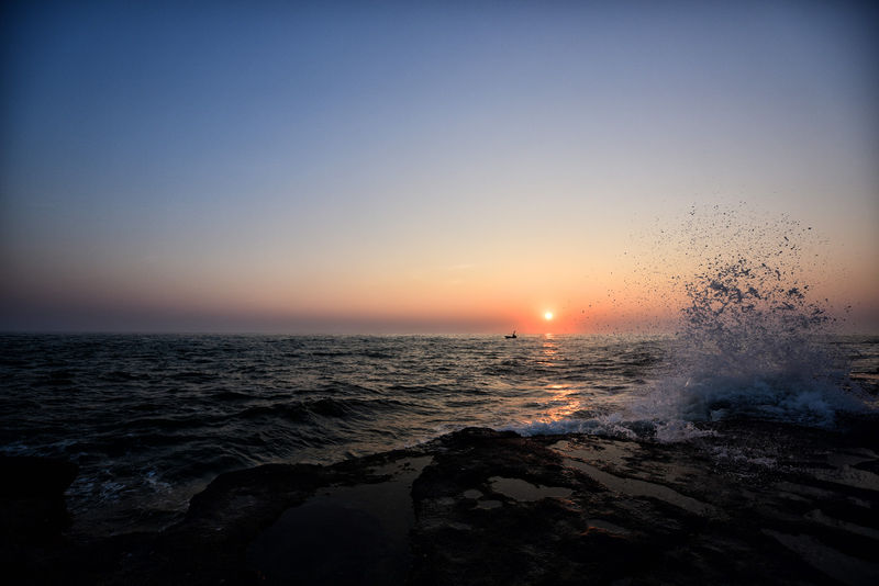 �V�����������������ލu