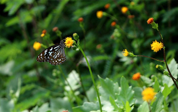 �V�����������������ލu����