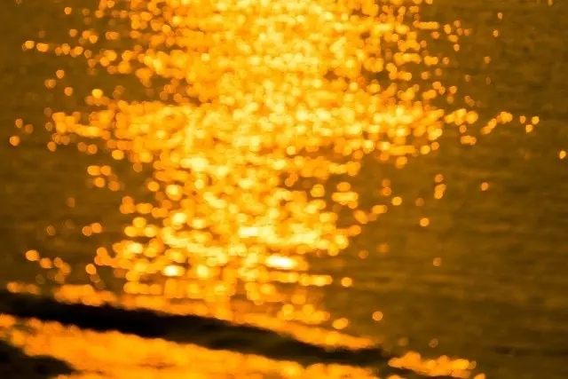 �V�����������������ލu���ι���