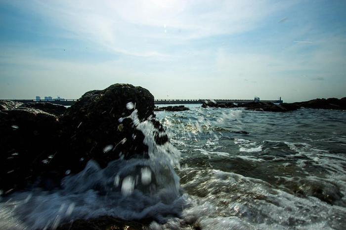 �V�����������磬��������