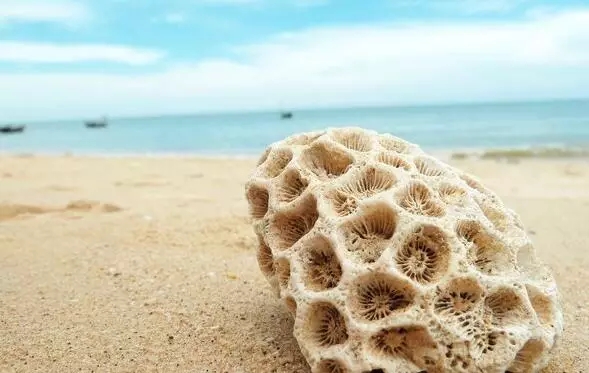 �V�����������磬���ލu����