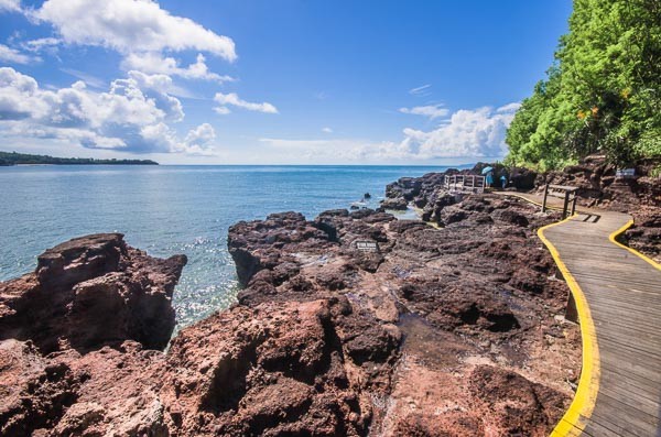 �V�����������������ލu����