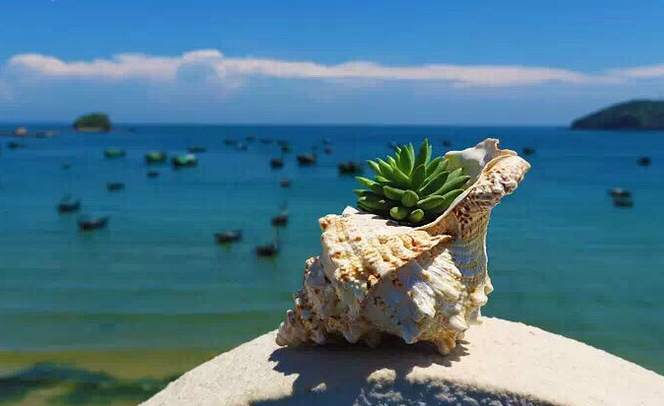 �V�����������������ލu����