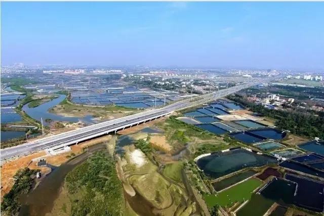 �V�������������������������T��