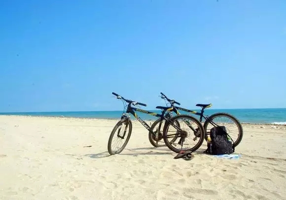 �V�������������������������T��